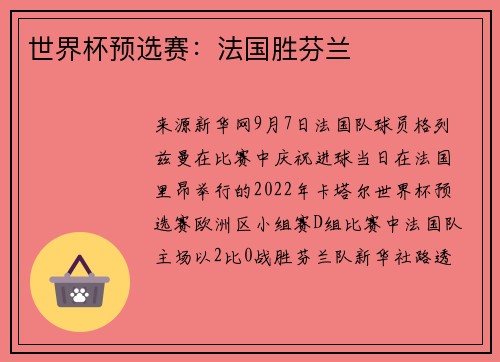 世界杯预选赛：法国胜芬兰